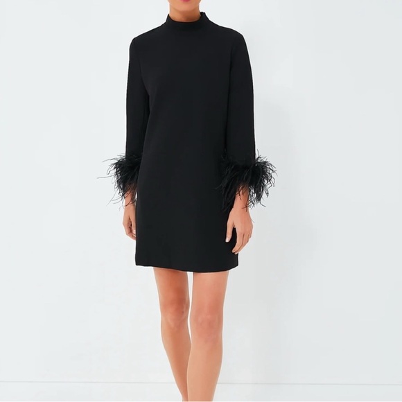 Tuckernuck Dresses & Skirts - Black Feather Mod Ellie Dress sz XXL NWT